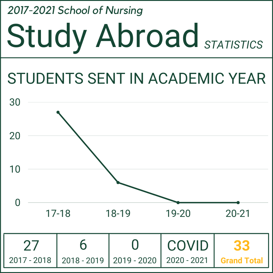 A graph showing the terms Nursing students went abroad. 