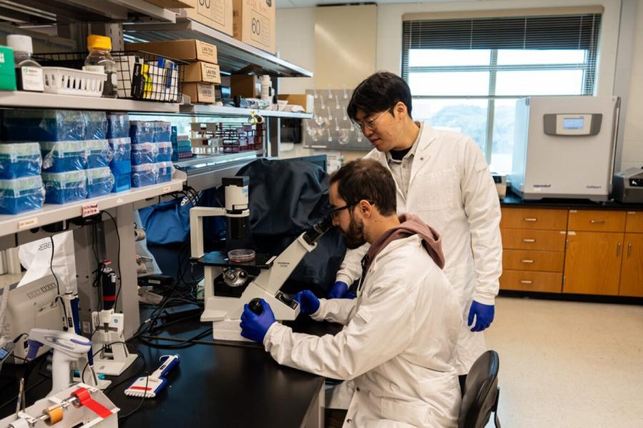 Lab research
